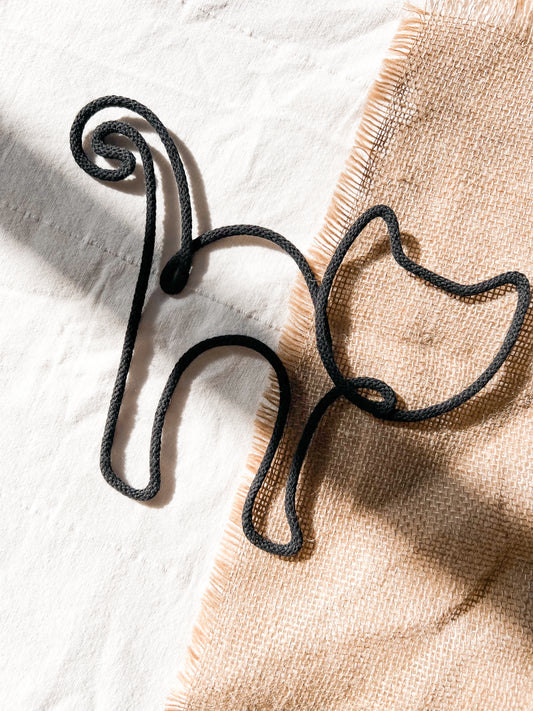 Chat noir