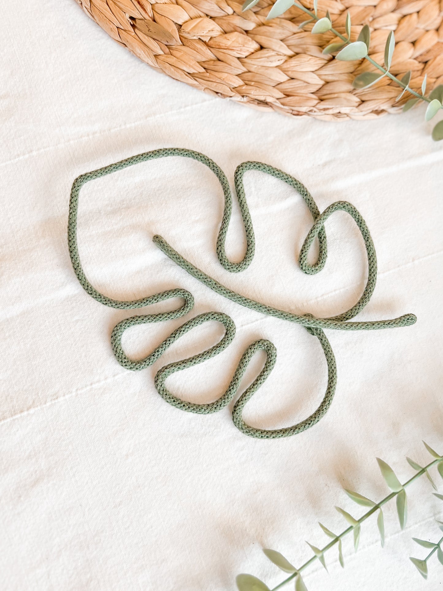 Monstera