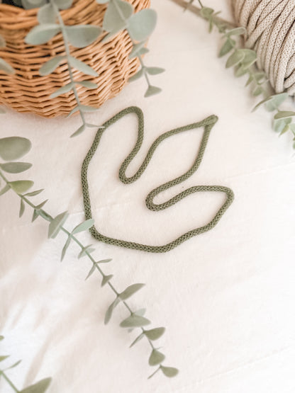 Patte de Dino